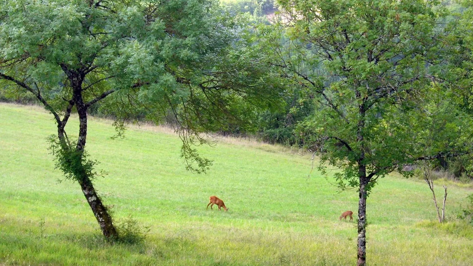 Les Hauts d'Albas Albas (Lot)
